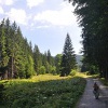 Sumava 4105